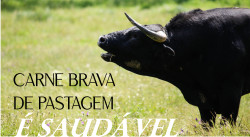 Faça a sua encomenda e desfrute da Carne Brava de Pastagem